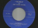 SURF ROCKABILLY bw/ TITTYSHAKER INSTROS--DAWNBEATS--HEAR BOTH--ILLINOIS CENTURY