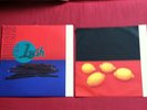 Lush Split Vinyl 1994 Record