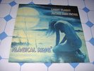 MAGICAL RING LIGHT FLIGHT MORE AND MORE RARE 70S ELECTRO PROG LIBRARY