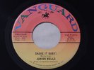 Mod R&B Nor Soul Dancer 45 Shake It Baby/Stomach Ache JUNIOR WELLS Vanguard M-