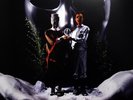 The Presets - Apocolypso - LP Vinyl Album - Modular - Mint Cond - VERY RARE