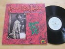 Hound Dog Taylor & House Rockers - Beware of the Dog LP Rare Blues on Alligator