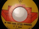 Soul Funk 45 F.J. JONES In This Land After Sundown / My World PS RECORDS HEAR