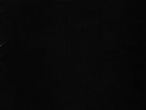 DARK MINE FIELDS JAPAN Darkwave Coldwave Minimal Excentrique Noiz Joy Division