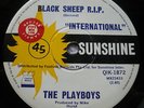 Obscure/The Playboys/Black Sheep R.I.P./Garage Freak-Beat Psyche/OZ Sunshine La