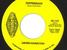 Top Texas Mod Garage Psych DJ Dancer Arnim Hamilton Pepperman Tefteller LISTEN
