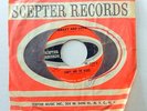 CANDY & THE KISSES 45 Sweet and Lovey SCEPTER 1965 Northern Soul #C261