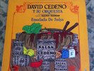 33- Salsa David Cedeno Y Su Orq/Canta Ralphy Guzman/ Ensalada De La Salsa