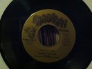 Saboo LaTeuse 45 Barbarian 0105  Memphis Garage Jim Dickinson Disco