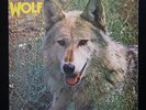 DARRYL WAY'S WOLF - CANIS LUPUS - UK 1st DERAM SDL 14 - EX/EX COPY - CURVED AIR