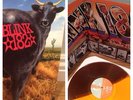 Blink 182 Dude Ranch Limited Edition Gold And Brown Vinyl