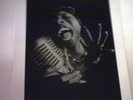 PETER AMFT original 11 x 14