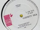 GARNETT SILK - i am vex / the rod (90s killer)