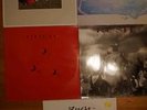 5x LP - Alben Rush (A show of hands/Hold your fire/Presto/Signals/Grace under..)