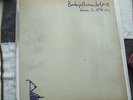 Babyshambles Down In Albion Double Gatefold LP