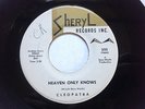 RARE DOO-WOP 45/ CLEOPATRA 