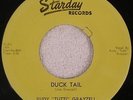 RUDY GRAYZELL “Duck Tail/You’re Gone” STARDAY 241 ROCKABILLY VG++