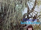Vinyle 33T Al Stewart 
