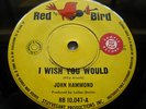 John Hammond/I Wish You Would/Raunchy Blues Northern Soul/OZ Red Bird Label Samp