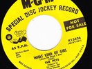 NORTHEN SOUOL 45 RPM - THE PETS on M-G-M RECORDS (PROMO)