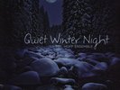 Bent Bohren / Hoff Ensemble - Quiet Winter Night: An Acoustic Jazz Project US LP
