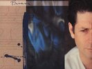 Brian Wilson - Brian Wilson Vinyl US LP