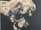 Death To The Pixies Vinyl Boxset