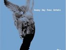 Sunny Day Real Estate 