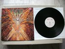 Cynic   -   Focus