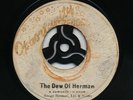 DEW OF HERMAN ( My Conversation CUT )  Bongo Herman / JUD JAD  Rupie Edwards ?