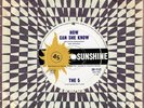 The 5- Rare Aussie Garage 45 on Sunshine 