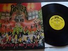 PANTERA PROJECTS IN THE JUNGLE