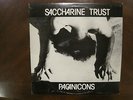 SACCHARINE TRUST Paganicons (1981) Vinyl EP NM WITH LYRICS INSERT RARE