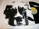 CUBY & THE BLIZZARDS lp PLEASE NO SMOKE lim oop VAN MORRISON BELFAST GYPSIES NM