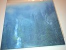 WOLVES IN THE THRONE ROOM 2 LP weakling krallice agalloch deafheaven panopticon