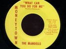 MANDELLS What Can You Do For Me on Moneytown Sweet Northern Soul 45