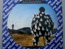 Rarest PINK FLOYD delicate sound of thunder BRAZIL PICTURE DISC PROMO ONLY LP
