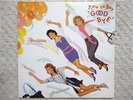 ARABESQUE / TIME TO SAY GOOD BYE JAPAN LP / WOLFGANG MEWES, DISCO POP, EX+