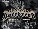 Hatebreed - The Rise Of Brutality Vinyl  LP  Neuware
