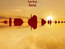 Kate Bush - Aerial vinyl double LP