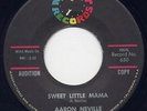AARON NEVILLE - 