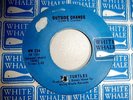 TURTLES OUTSIDE CHANCE WHITE WHALE IN DEMAND`NOW PSYCH GARAGE 45