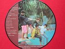 The Beatles Picture Disc  -Talk down under