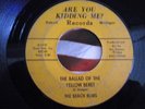 BEACH BUMS- ARE YOU KIDDING ME?-THE BALLAD OF THE YELLOW BERET - BOB SEGER-