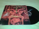 TESTAMENT: The Gathering Lp original