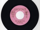 Leopards They All Play Loud power pop kbd Kinks Village Green garage 45 hear