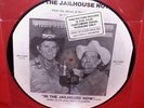 Willie Nelson/Web Pierce Picture Disc In The Jailhouse Now DJ Promo Sealed Rare
