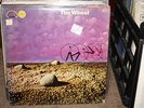 BERNIE SCHWARTZ  THE WHEEL PSYCH PROMO COBURT 1001 LP