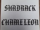 Private Psych LP SHADRACK CHAMELEON S/T IGL Orig. RARE GRAIL Hear