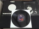 T.REX DANDY IN THE UNDERWORLD 12